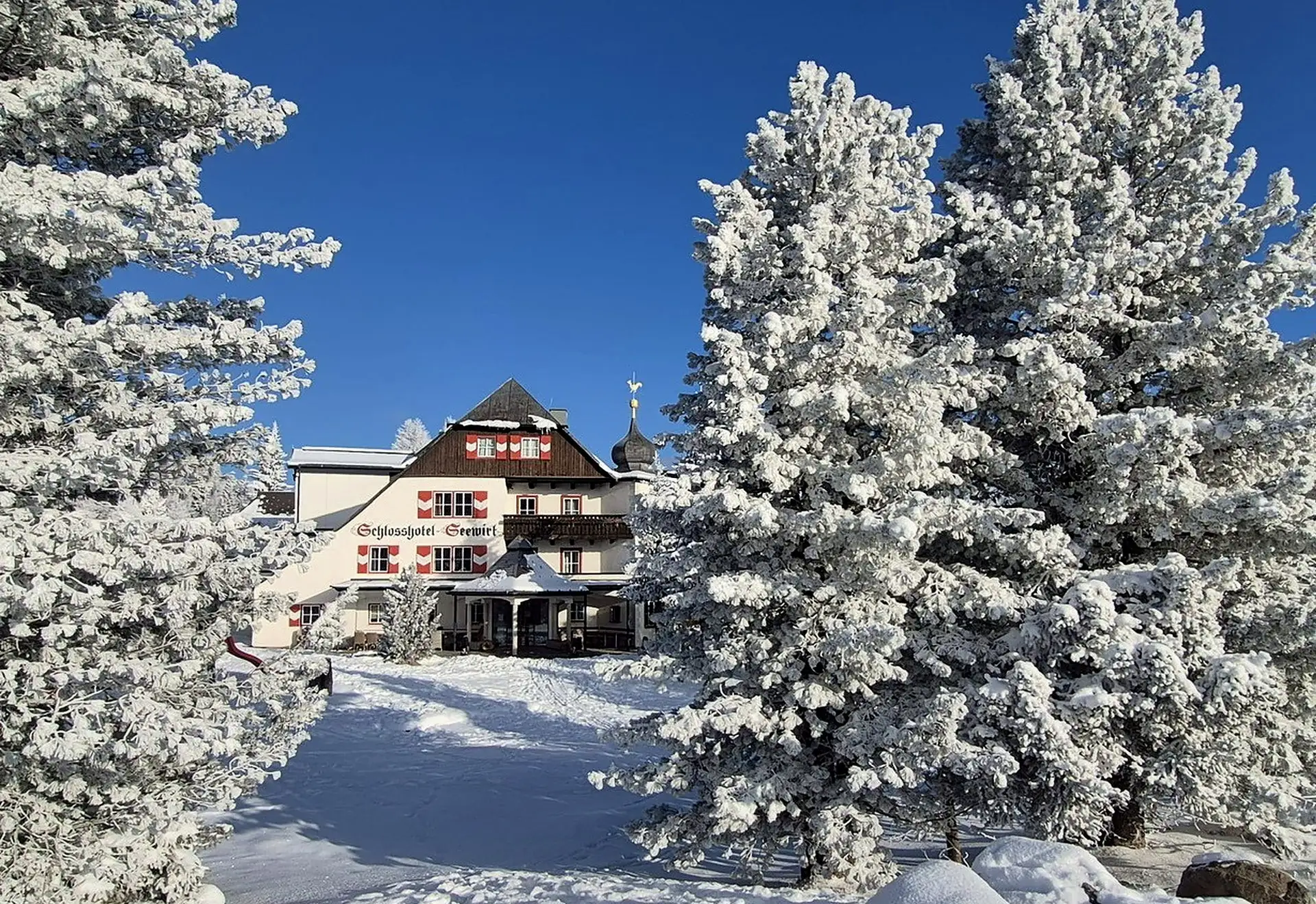 Das Schlosshotel Seewirt zwischen raureifbedeckten Zirben in der Dämmerung